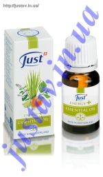 ������ ��� Energy Plus 10 �� 